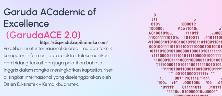 Beasiswa Riset dari Universitas Ternama AS 2024